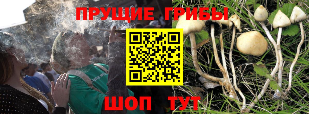 Галлюциногенные грибы MAGIC MUSHROOMS  Вход с VPN  Видное 