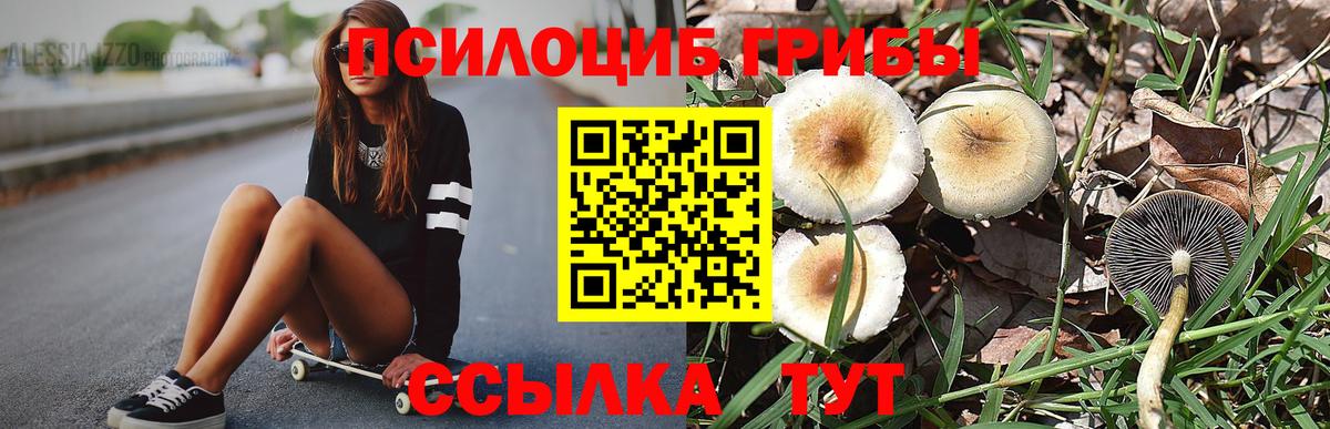 Галлюциногенные грибы Magic Shrooms Видное