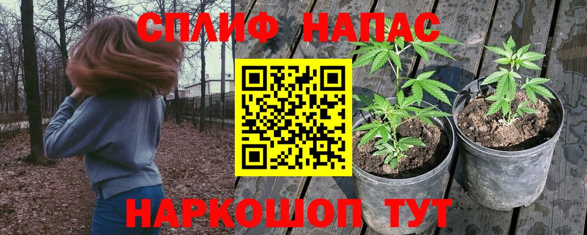 Канабис VHQ  Конопля гибрид  Конопля сатива  Бошки Шишки индика  Вход с VPN  Видное 